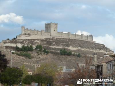 Visita enológica a Peñafiel – Ribera del Duero; excursiones comunidad de madrid